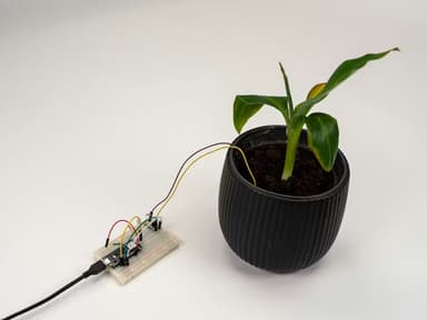 Plant Communicator