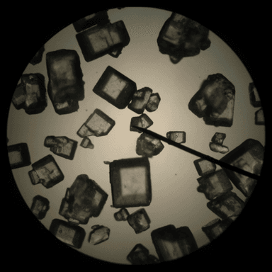 Salt vs Sugar Crystals