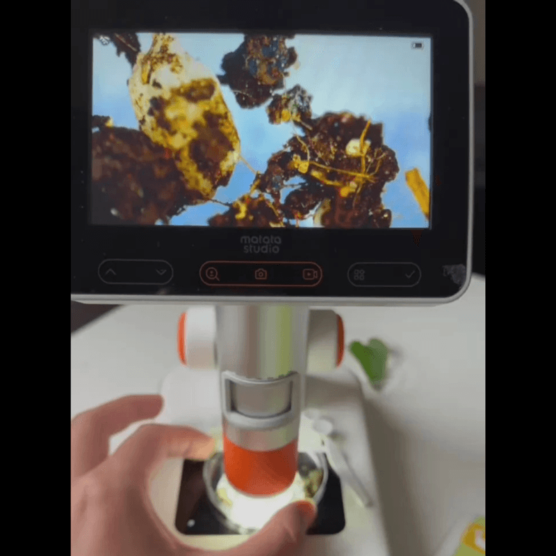 Hand holding a specimen base while observing under the microscope