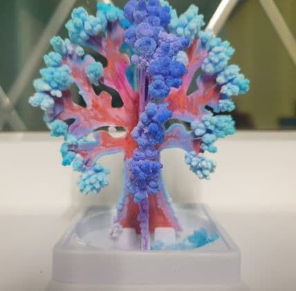 Crystal tree with first crystals beginning to form on the branches