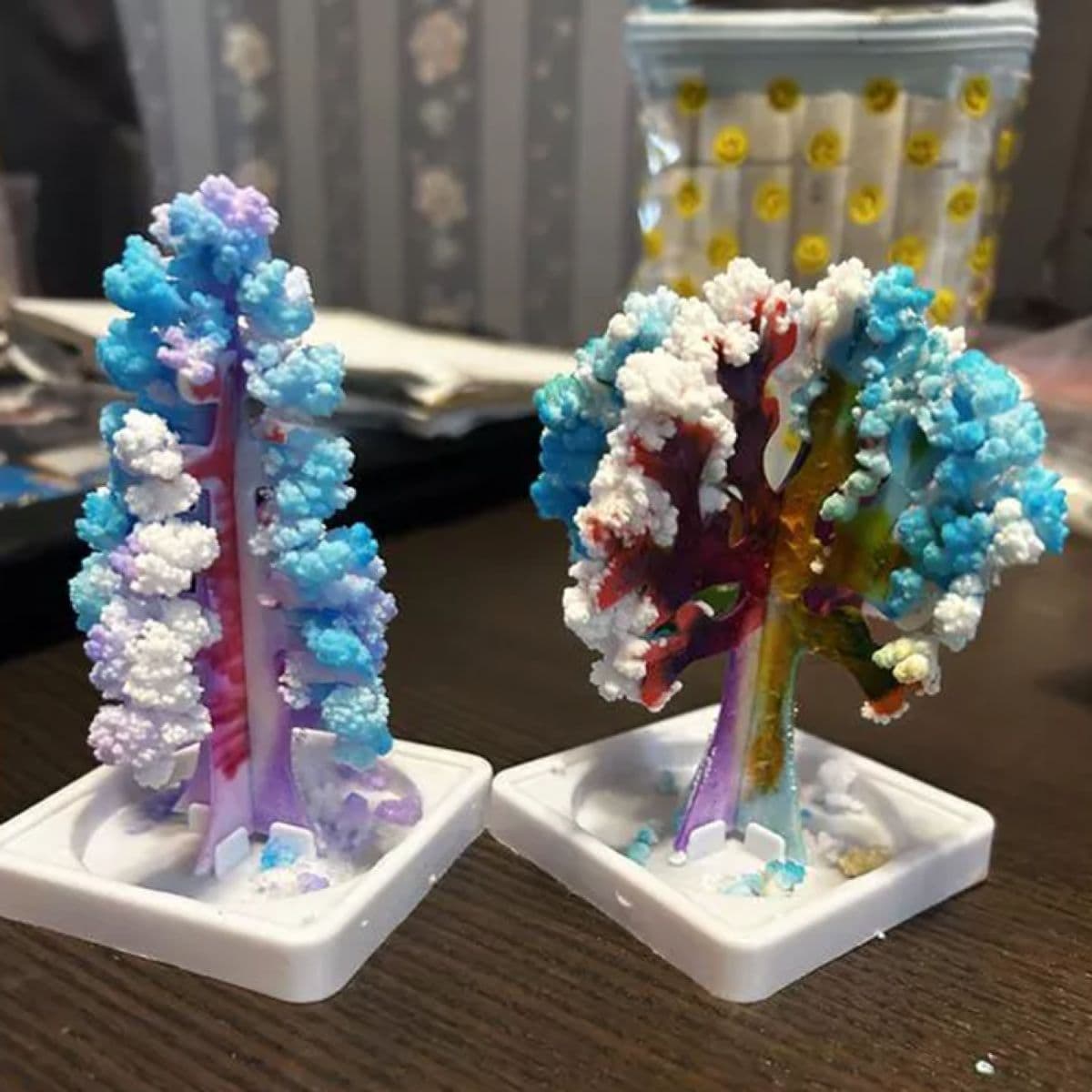 Two crystal trees in the early stages of crystal growth