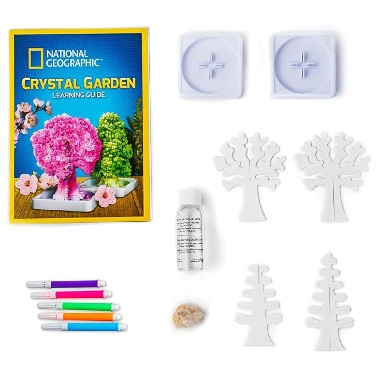 National Geographic Crystal Garden kit contents laid out