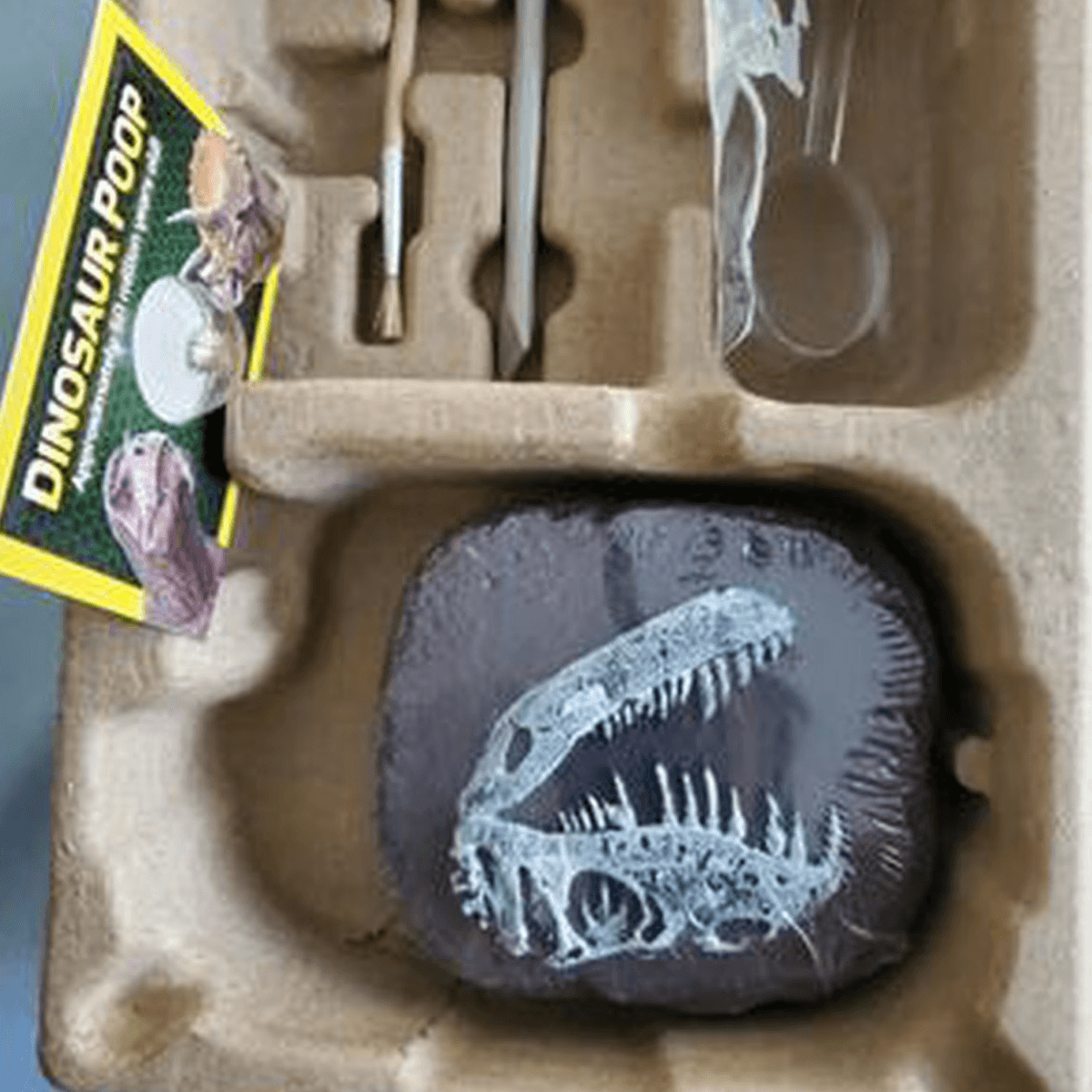 National Geographic Dino Fossil Dig Kit contents laid out