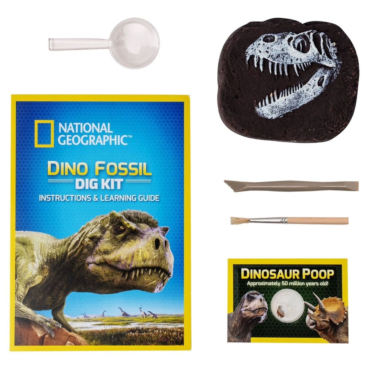 National Geographic Dino Fossil Dig Kit contents laid out