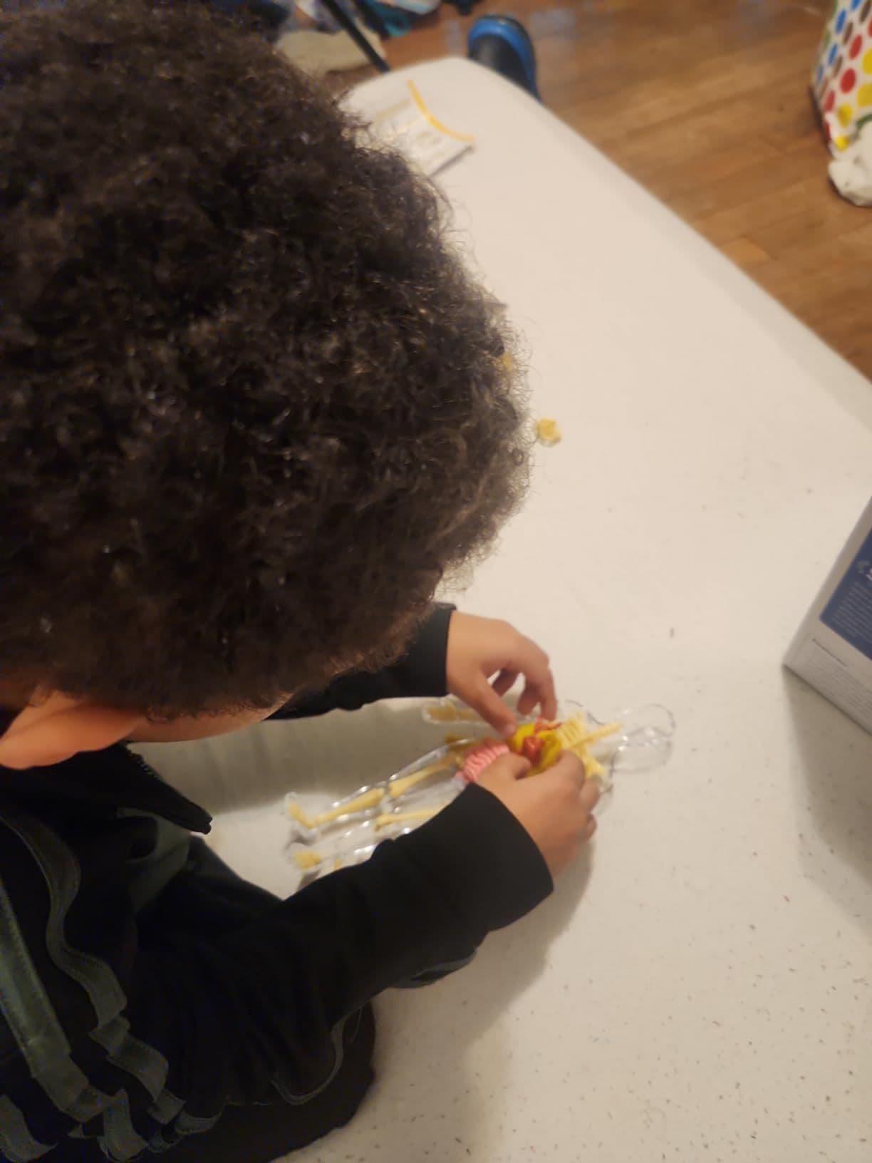 Child exploring the anatomy model components