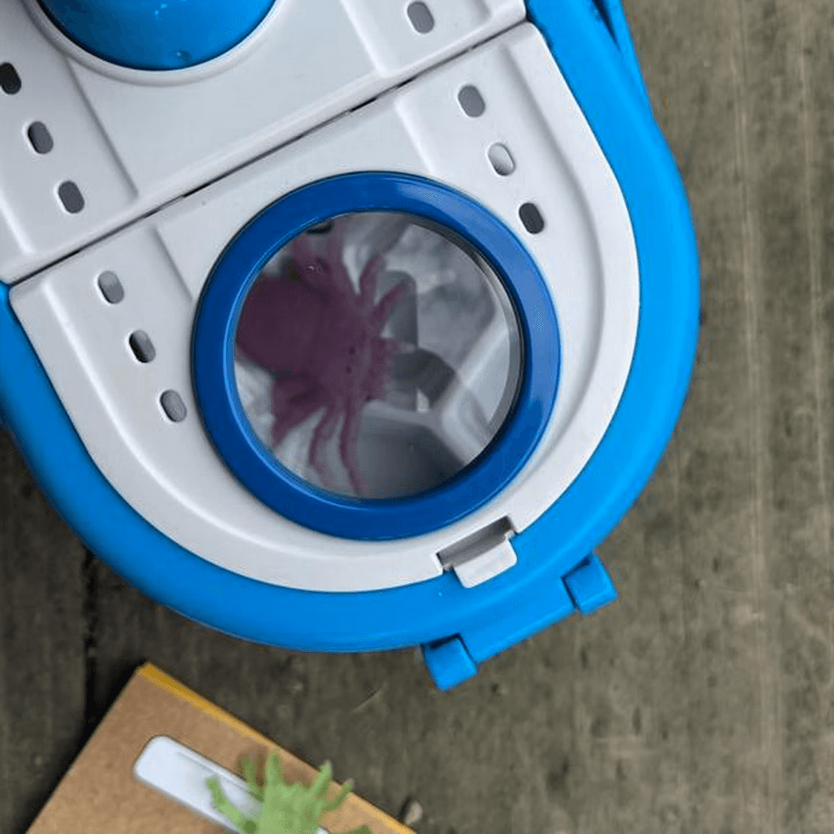 Top-down view of habitat showing glow-in-the-dark bug figures